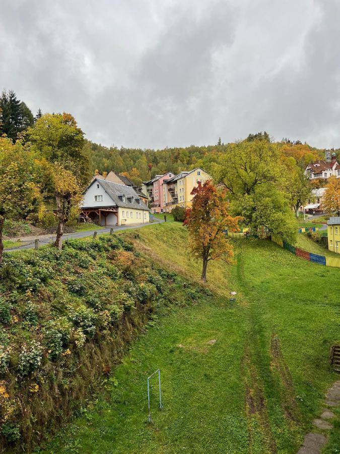 Apartman Visek Jáchymov Dış mekan fotoğraf
