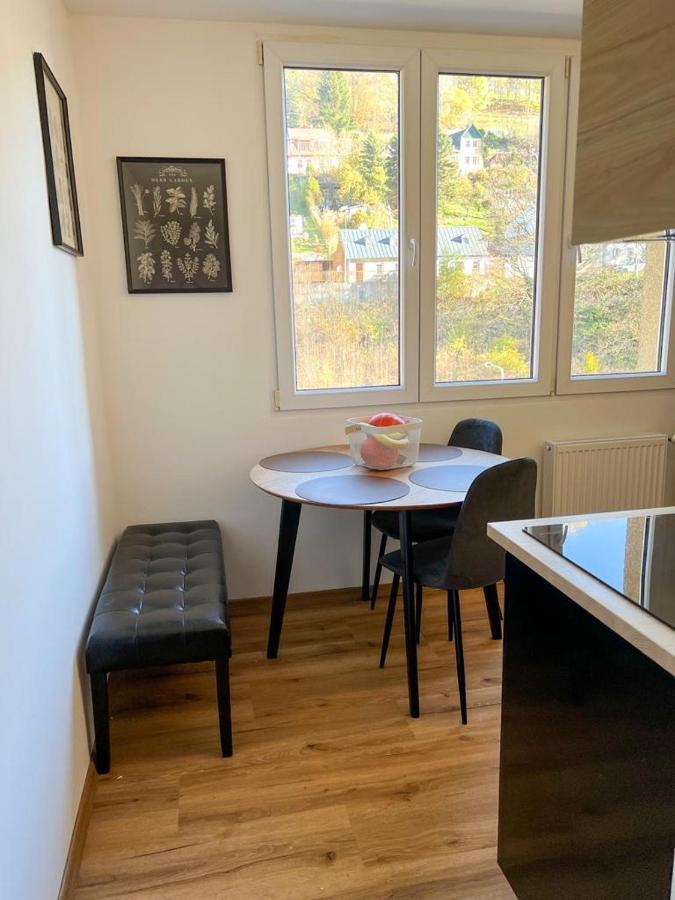 Apartman Visek Jáchymov Dış mekan fotoğraf