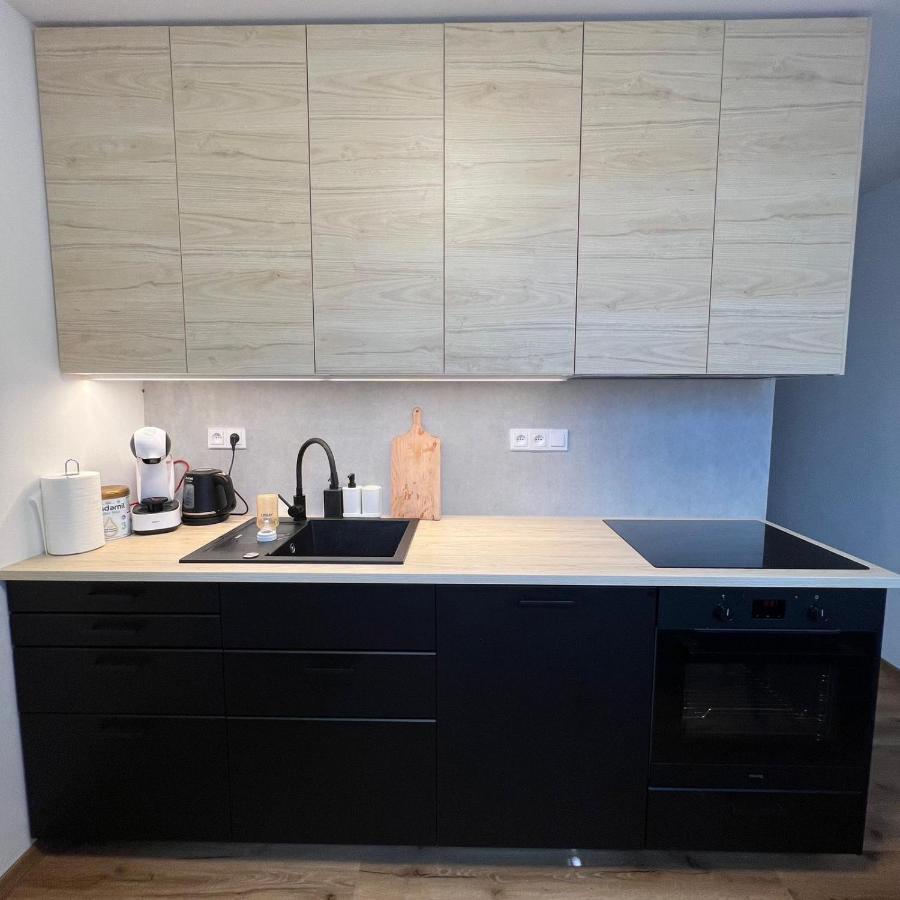 Apartman Visek Jáchymov Dış mekan fotoğraf