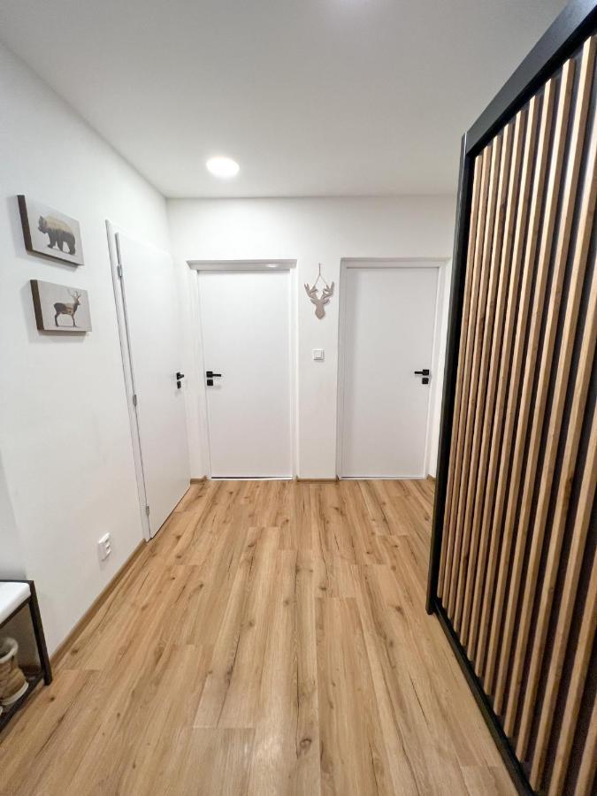 Apartman Visek Jáchymov Dış mekan fotoğraf