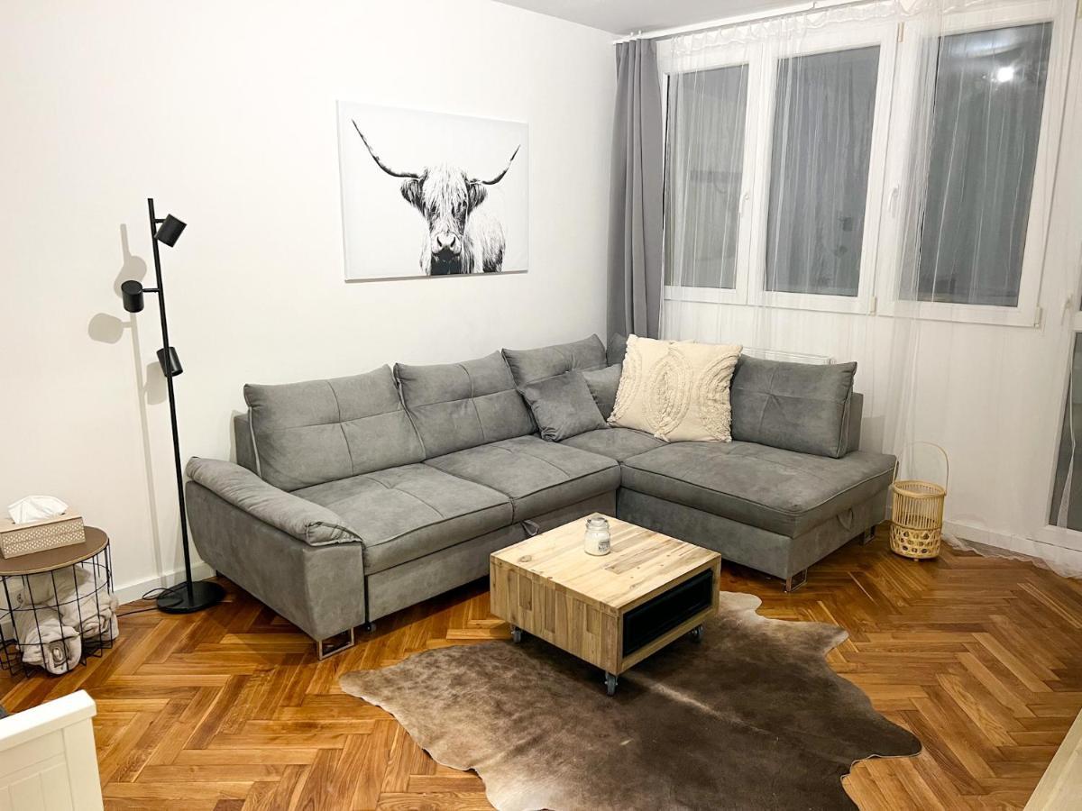 Apartman Visek Jáchymov Dış mekan fotoğraf