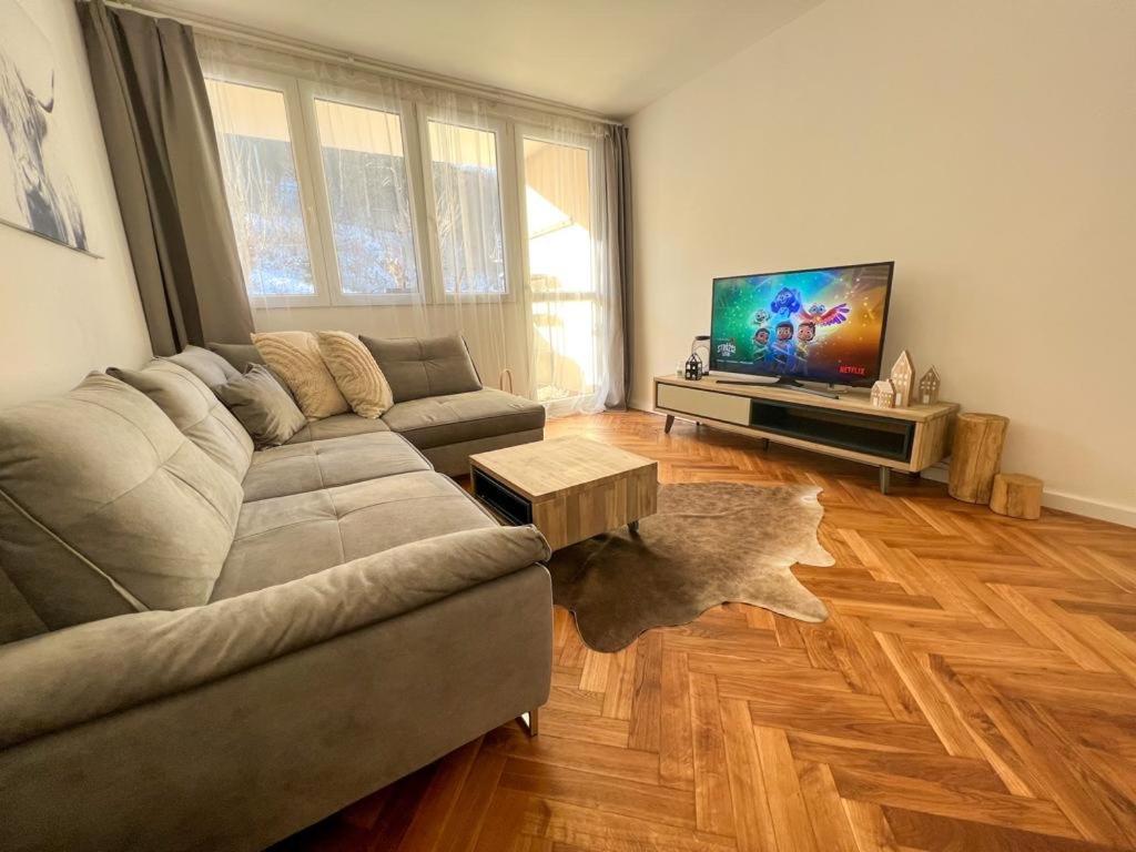 Apartman Visek Jáchymov Dış mekan fotoğraf