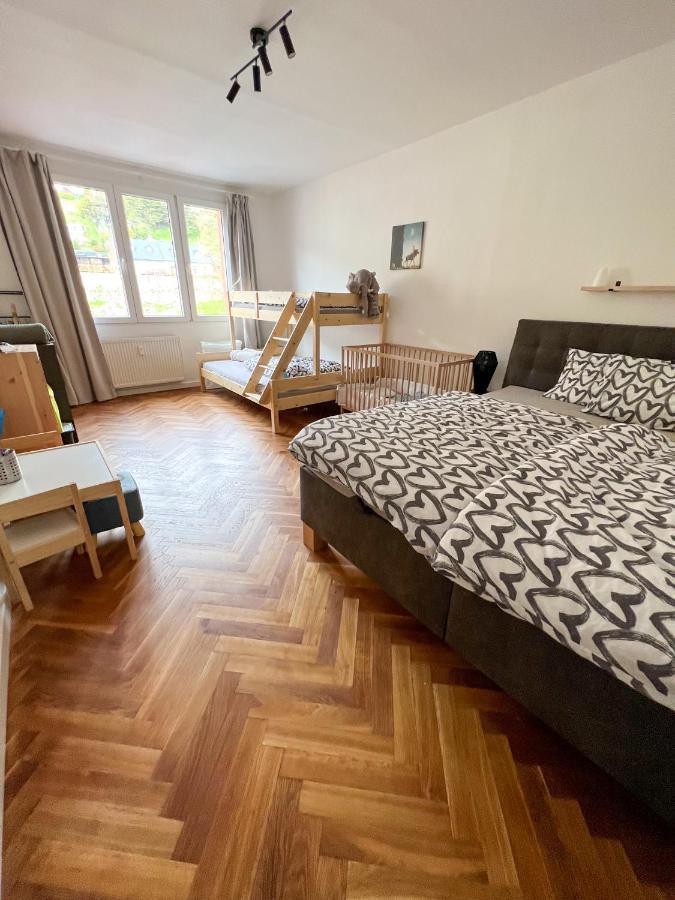 Apartman Visek Jáchymov Dış mekan fotoğraf