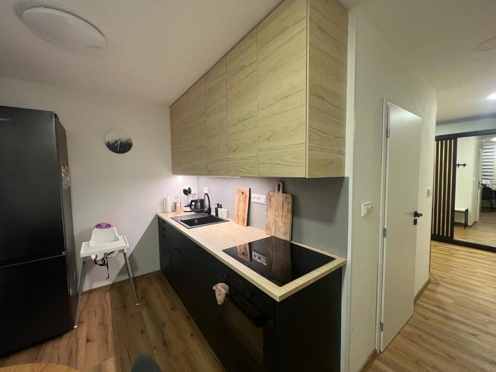 Apartman Visek Jáchymov Dış mekan fotoğraf