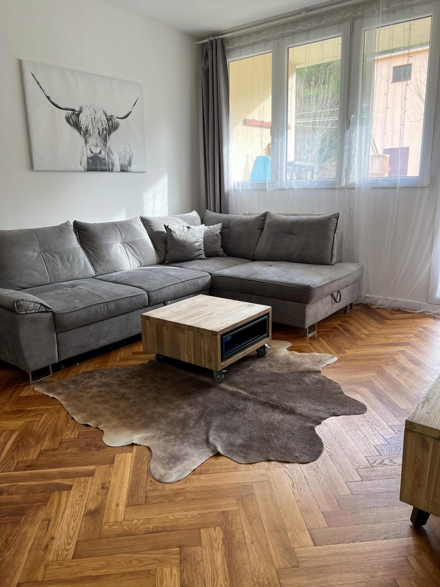 Apartman Visek Jáchymov Dış mekan fotoğraf